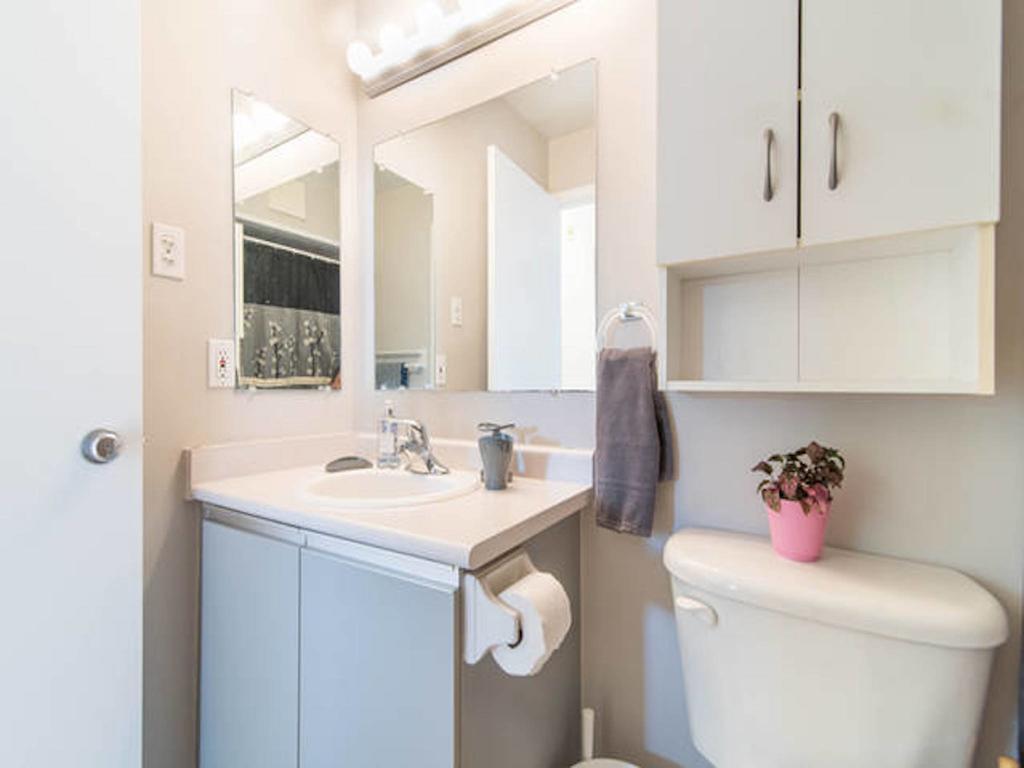 Lm Stays - Beautiful Oasis In Alexander Park Ottawa