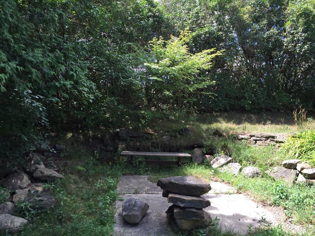 Guest house Pine Trees View Bungalow *