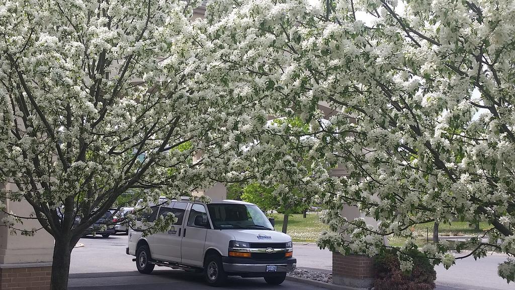 Days By Wyndham Airport 3* Ottawa