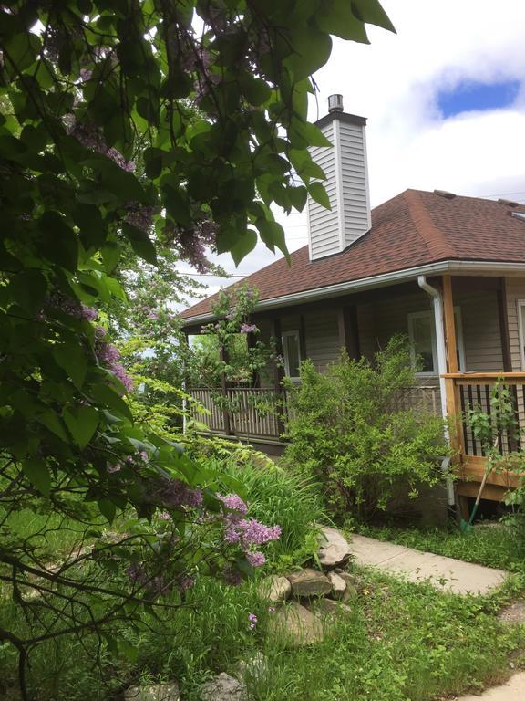 Guest house Pine Trees View Bungalow *