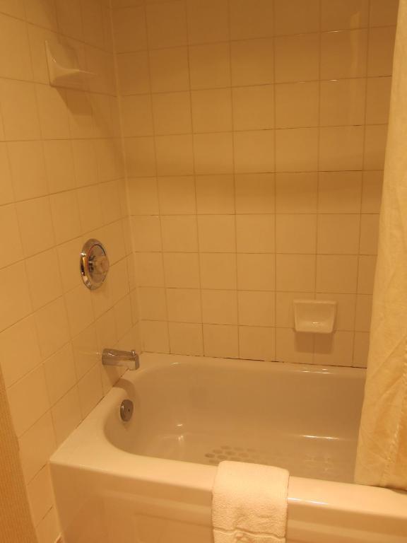 Plaza Downtown 3*
