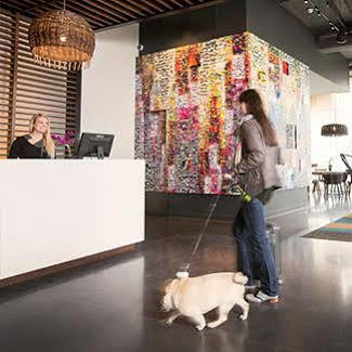 Alt Downtown Hotel Ottawa