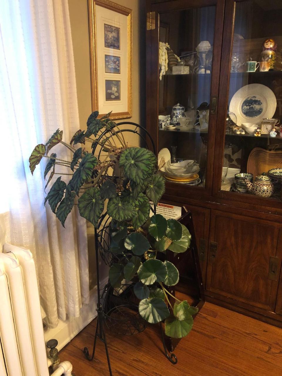 Ambassador Bed & Breakfast