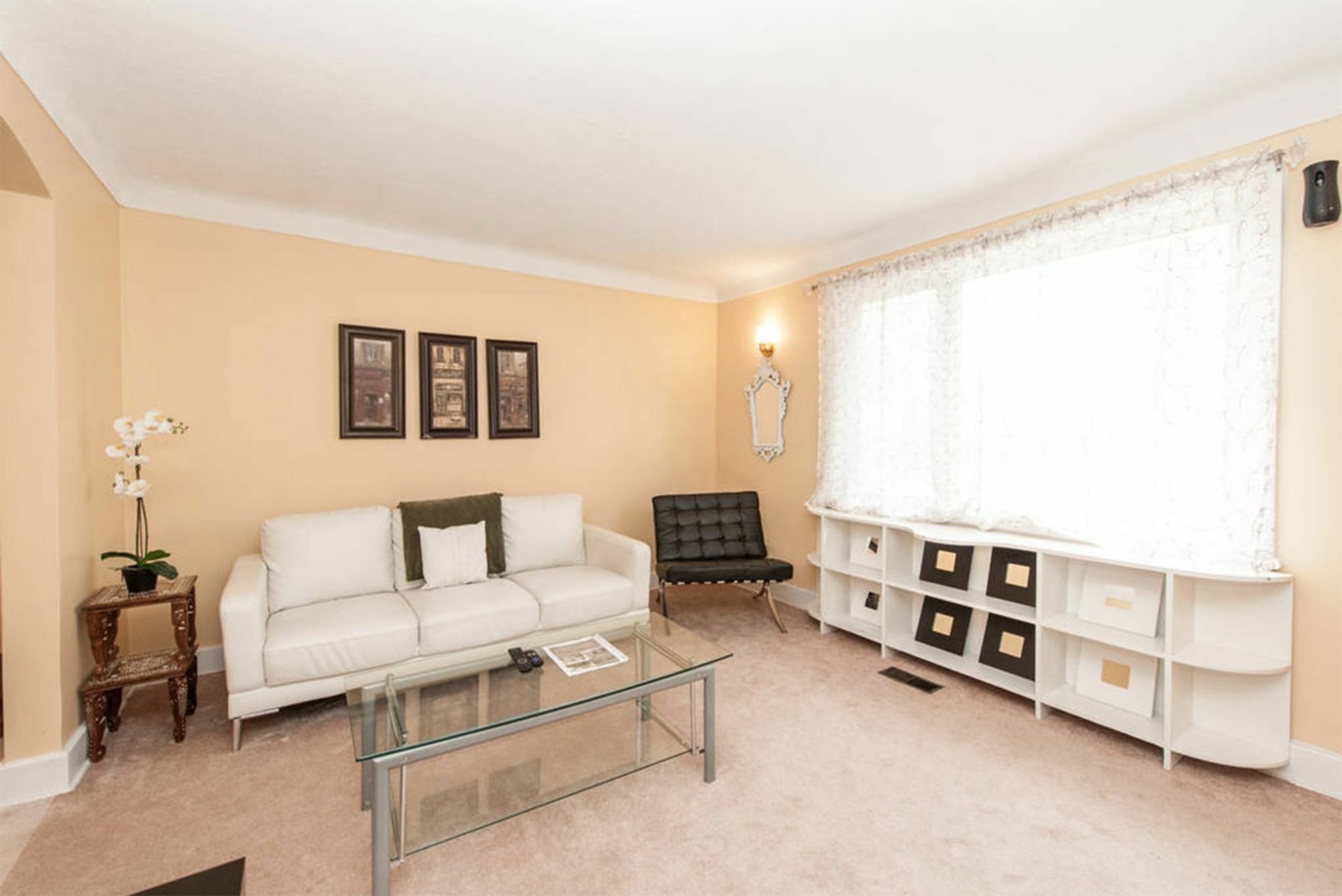 Apartment In Trendy & Vibrant Westboro