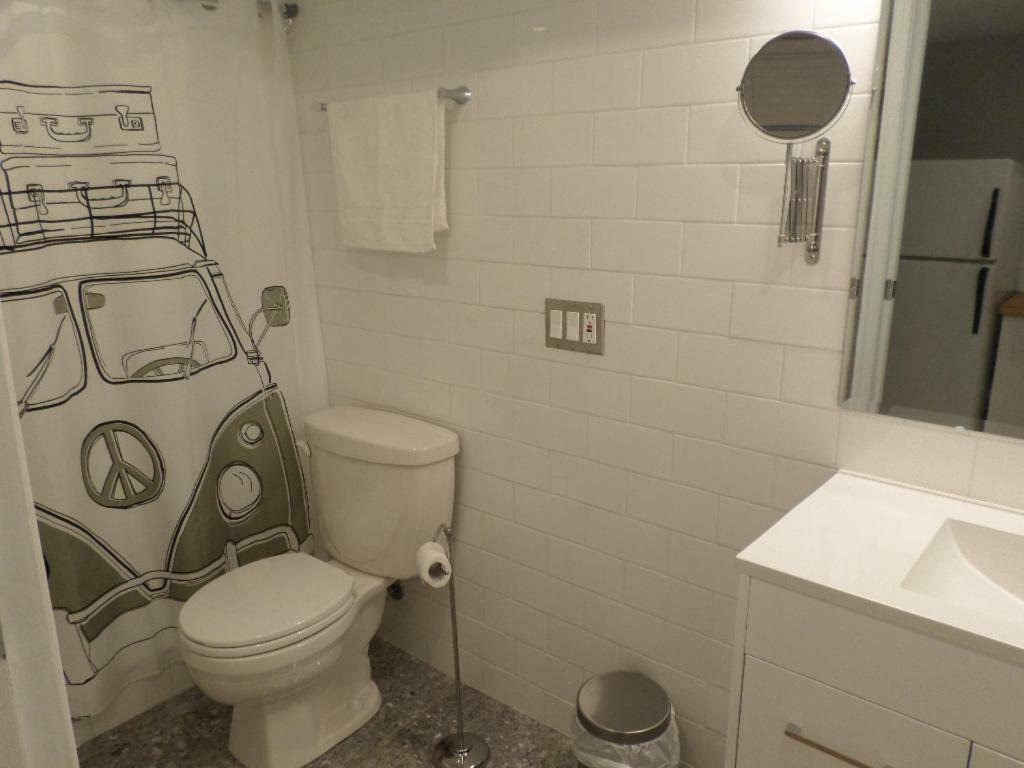 Apartment Fantastic And Modern Downtown 1-bed Basement Apt., Parking Wi-fi And Netflix Included Ottawa