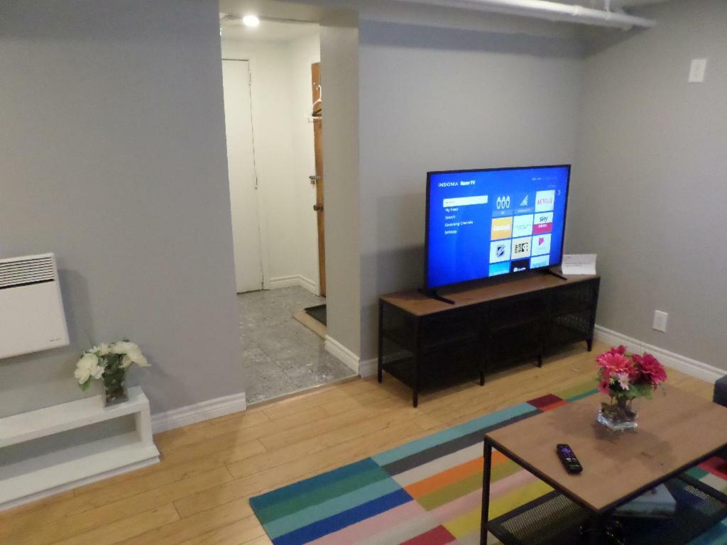 Fantastic And Modern Downtown 1-bed Basement Apt., Parking Wi-fi And Netflix Included *