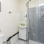 Pet-friendly Studio Unit In Chinatown Ottawa