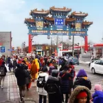 Pet Friendly - 1Br Newly Renovated Apartment