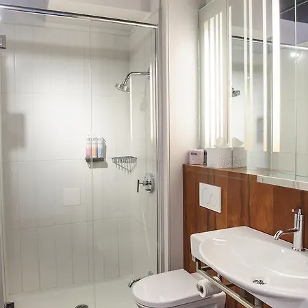 Alt Downtown Hotel 3*