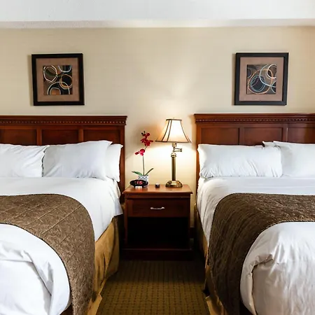 Welcominns Ottawa