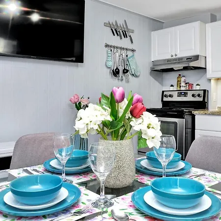2br Apt With Rooftop Terrace Access & Netflix