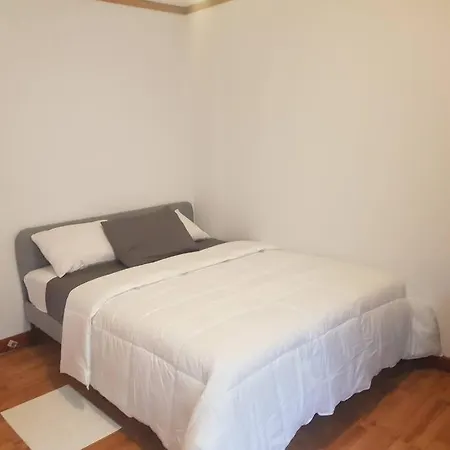 Magnificent 3 Bedroom Near Downtown With Parking. Apartment Ottawa