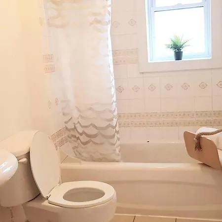 Apartment Magnificent 3 Bedroom Near Downtown With Parking. *