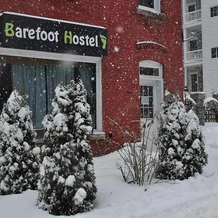 Hostel Barefoot *