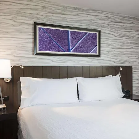Hilton Garden Downtown 3*