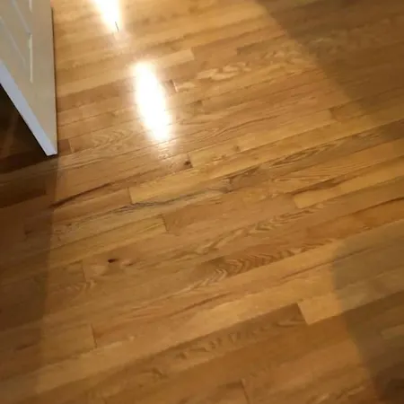 Apartment The Maison Ottawa