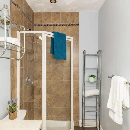 Pet-friendly Near Chinatown And Little Italy Apartment *