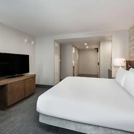 Hotel Hilton Garden Downtown