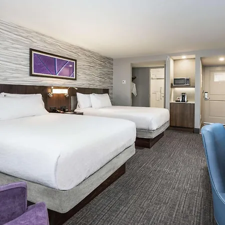 Hotel Hilton Garden Downtown 3*