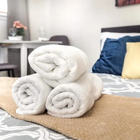 Pet Friendly In Chinatown Apartment