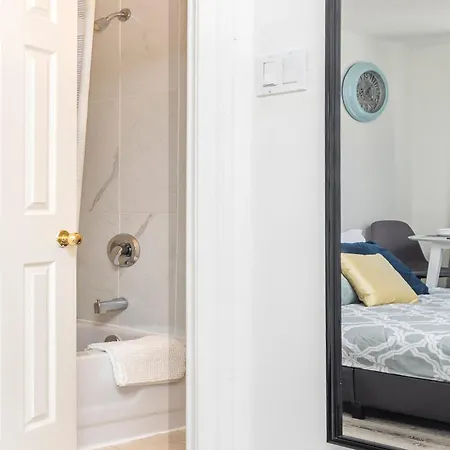 Pet Friendly In Chinatown * Ottawa