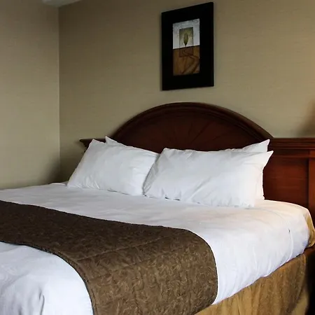Hotel Welcominns 2*
