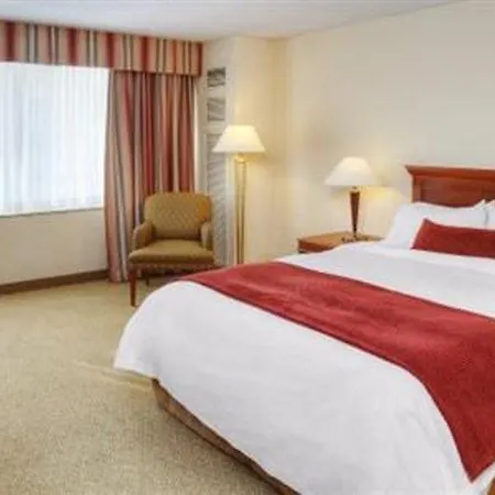 Hotel Hilton Garden Downtown 3*