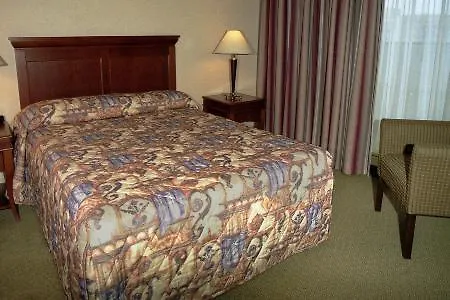 Hilton Garden Downtown Hotel