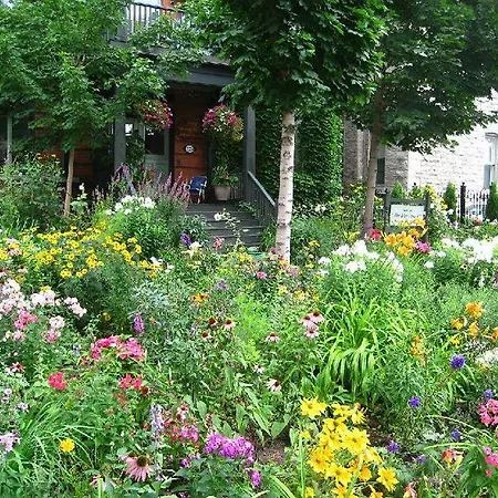 Bed & Breakfast King Edward 4*