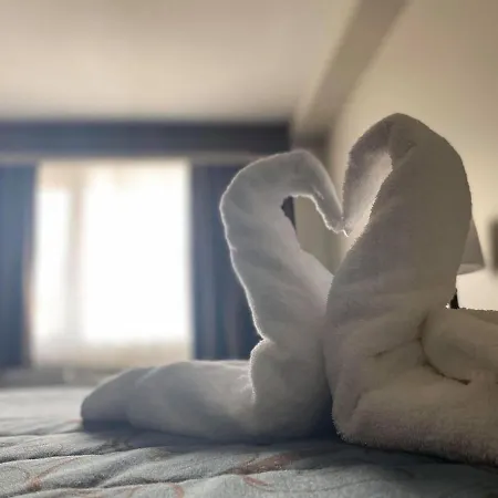 Motel Adam's Airport