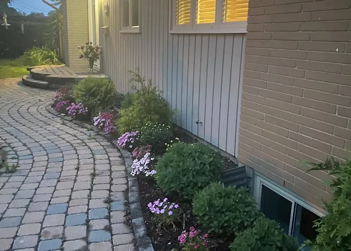 Spacious Guest House -Walkout Basement- 4 Guests! -Dedicated Workspace-No Pet! No Cooking! No Smoking! No Party!