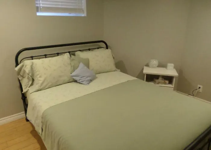 Fantastic And Modern Downtown 1-Bed Basement Apt., Parking Wi-Fi And Netflix Included