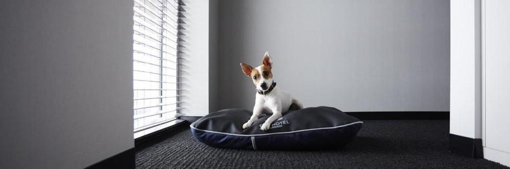 Hotel Alt Downtown 3*