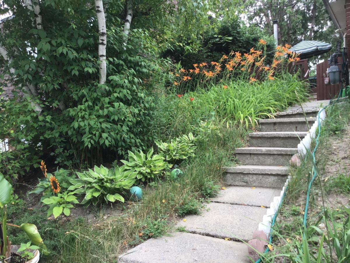 Mariya Studio Guest house
