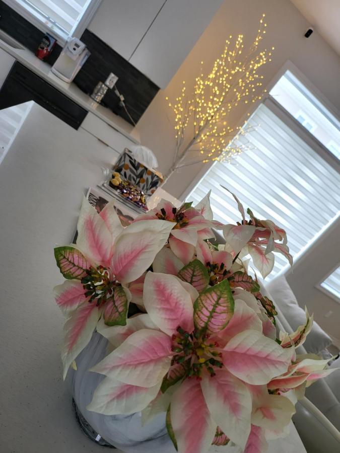 Bliss-home Guest house *