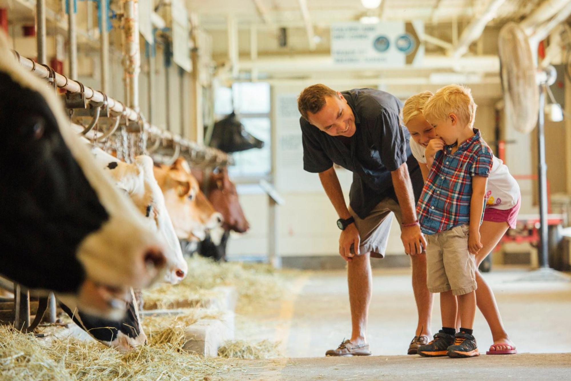 & Kanata By Ihg Ottawa