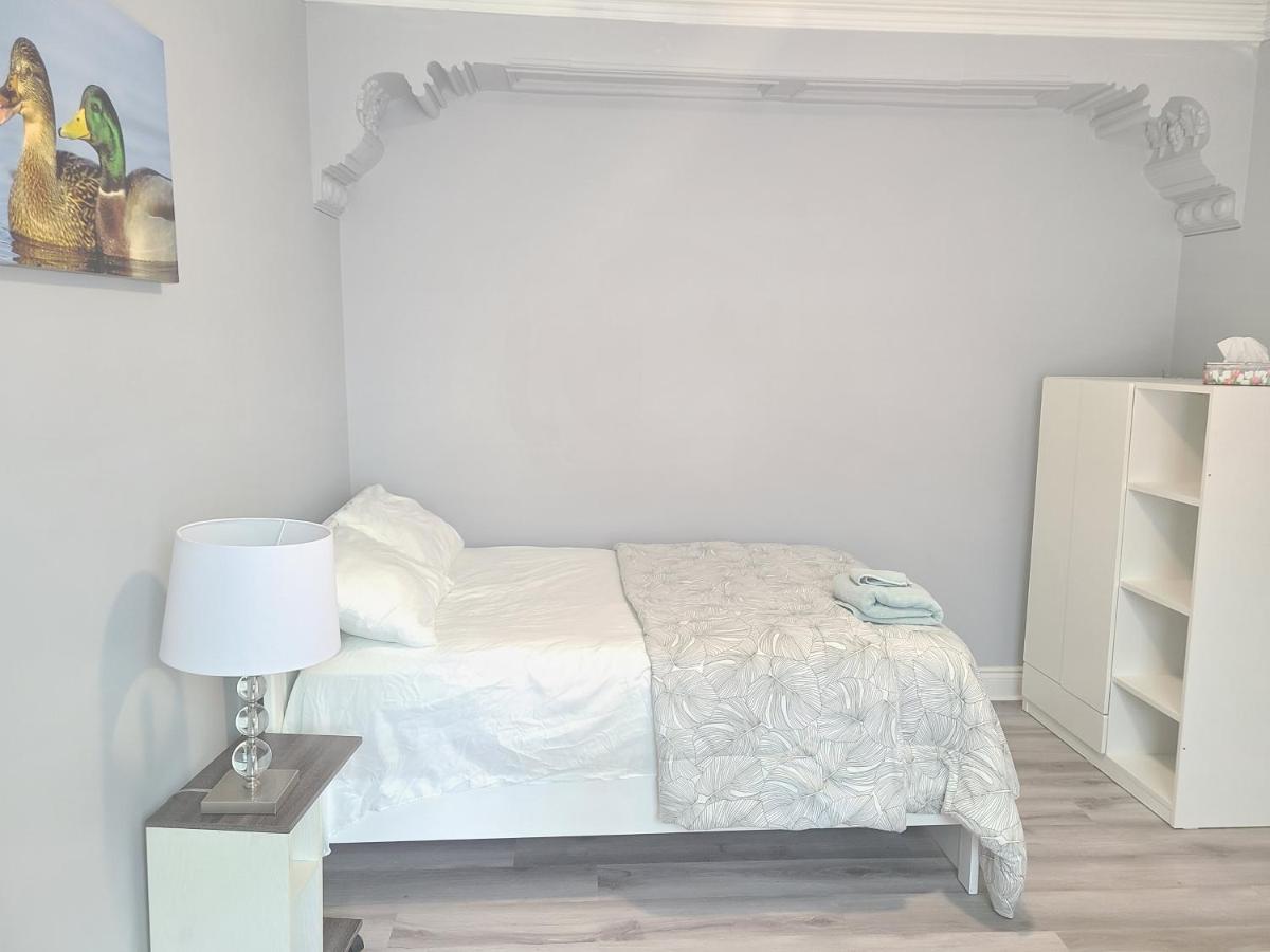 Downtown Spacious Bed & Breakfast