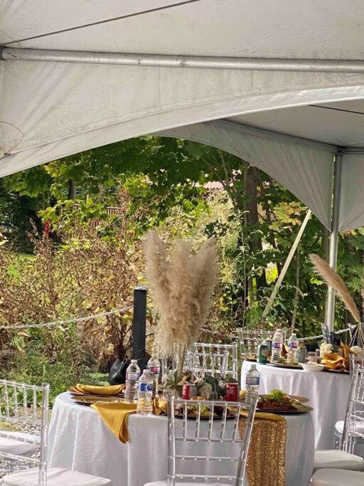 Villa Cozy & Porches For Intimate Weddings Reunions *