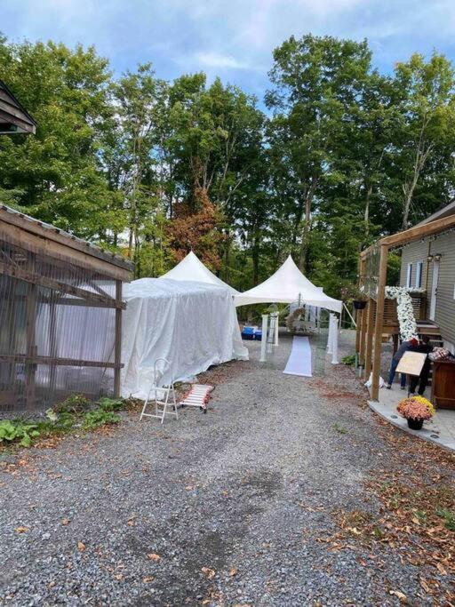 Cozy & Porches For Intimate Weddings Reunions *