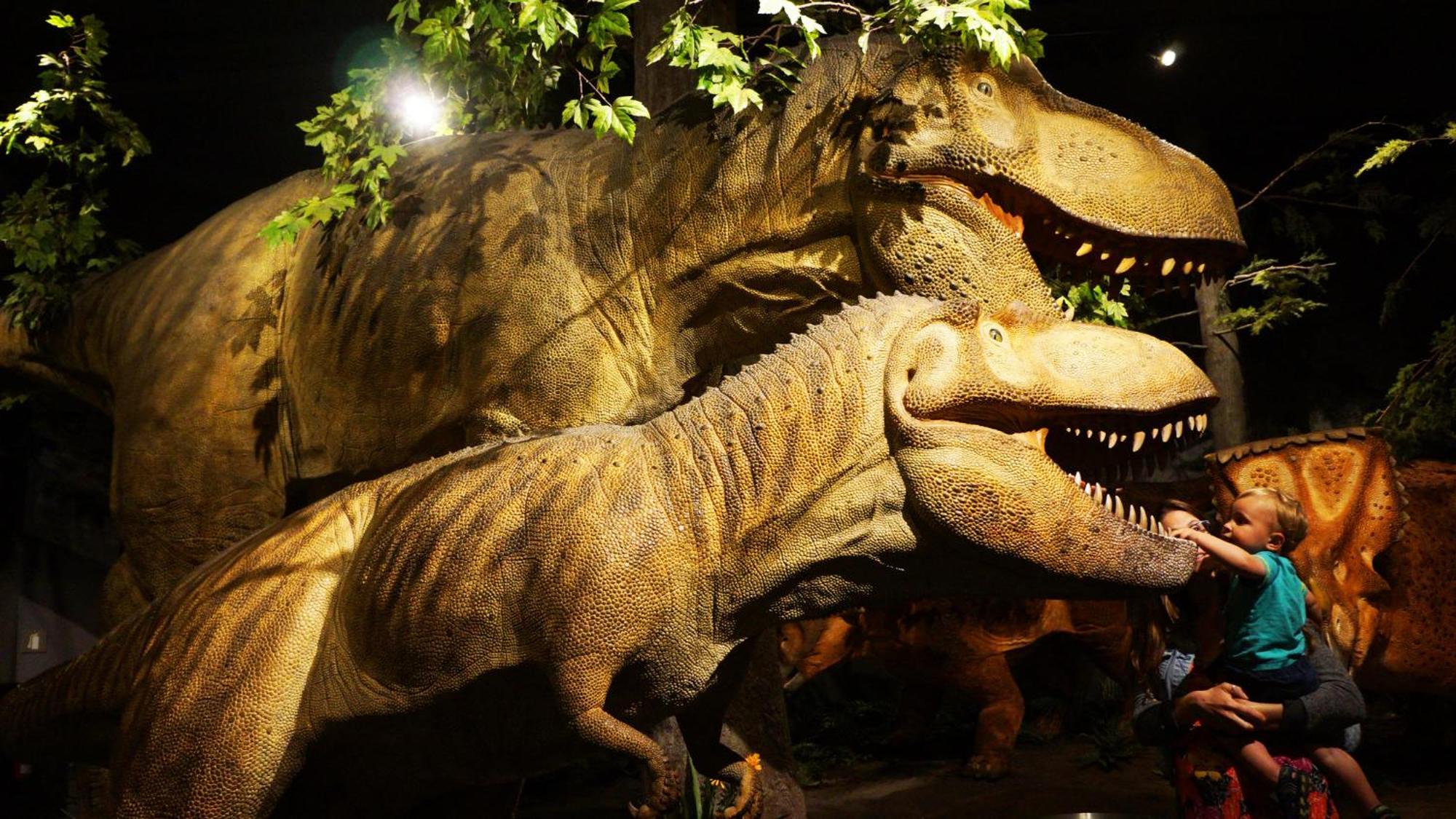 & Kanata By Ihg Hotel Ottawa