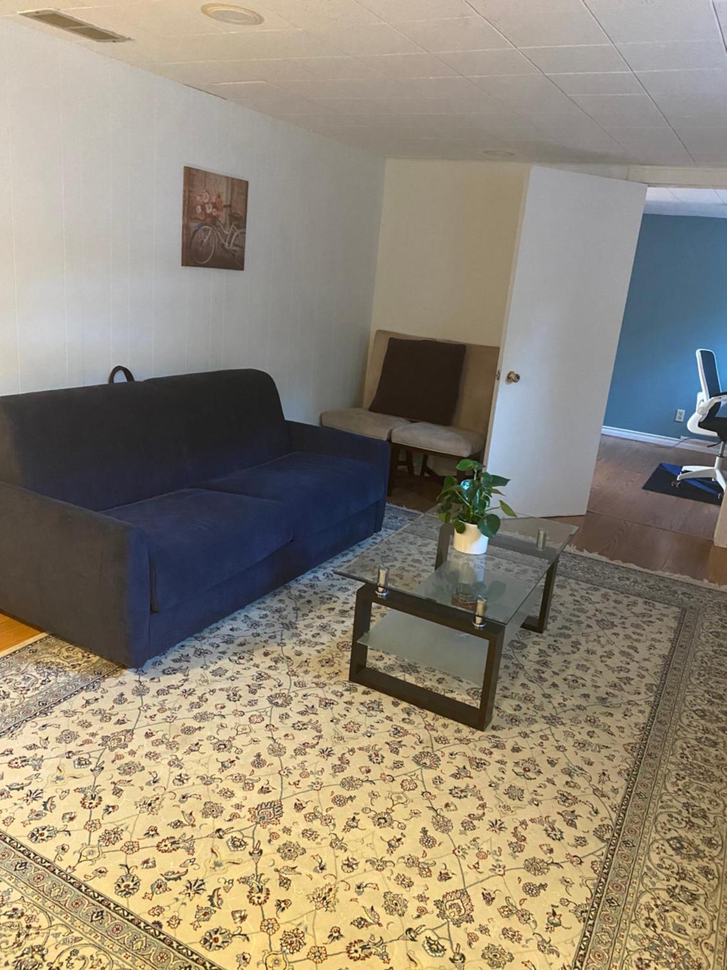 Spacious -walkout Basement- 4 Guests! -dedicated Workspace-no Pet! No Cooking! No Smoking! No Party! * Ottawa
