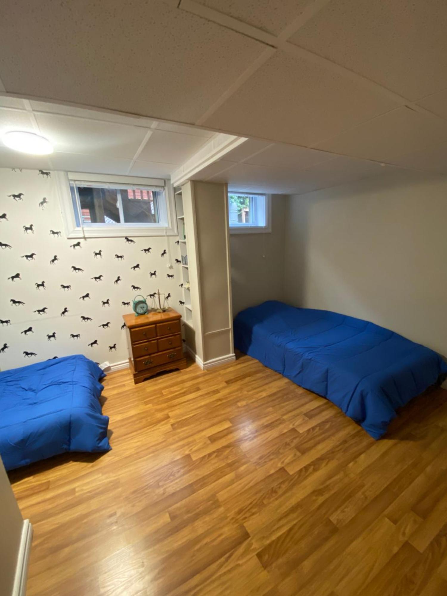 Spacious -walkout Basement- 4 Guests! -dedicated Workspace-no Pet! No Cooking! No Smoking! No Party! *