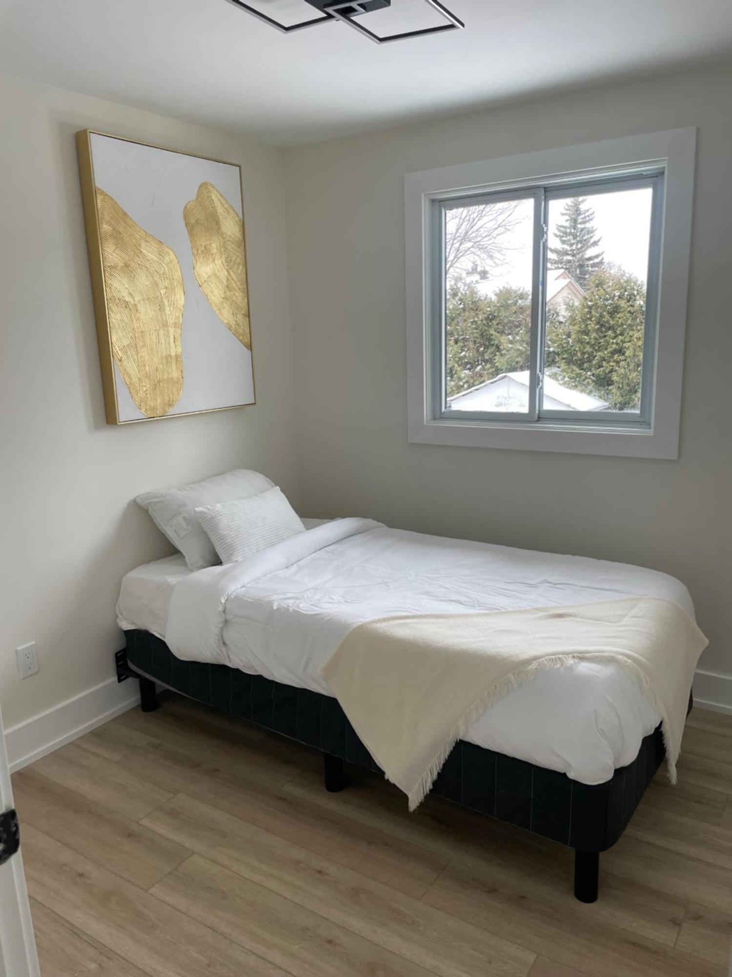 Modern And Chic House Apartment Ottawa