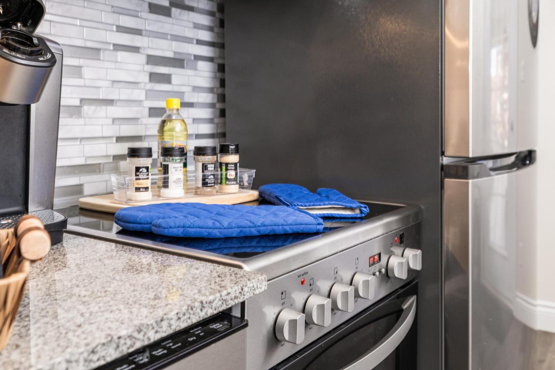 Apartment Pet-friendly 2br - Near University Ottawa