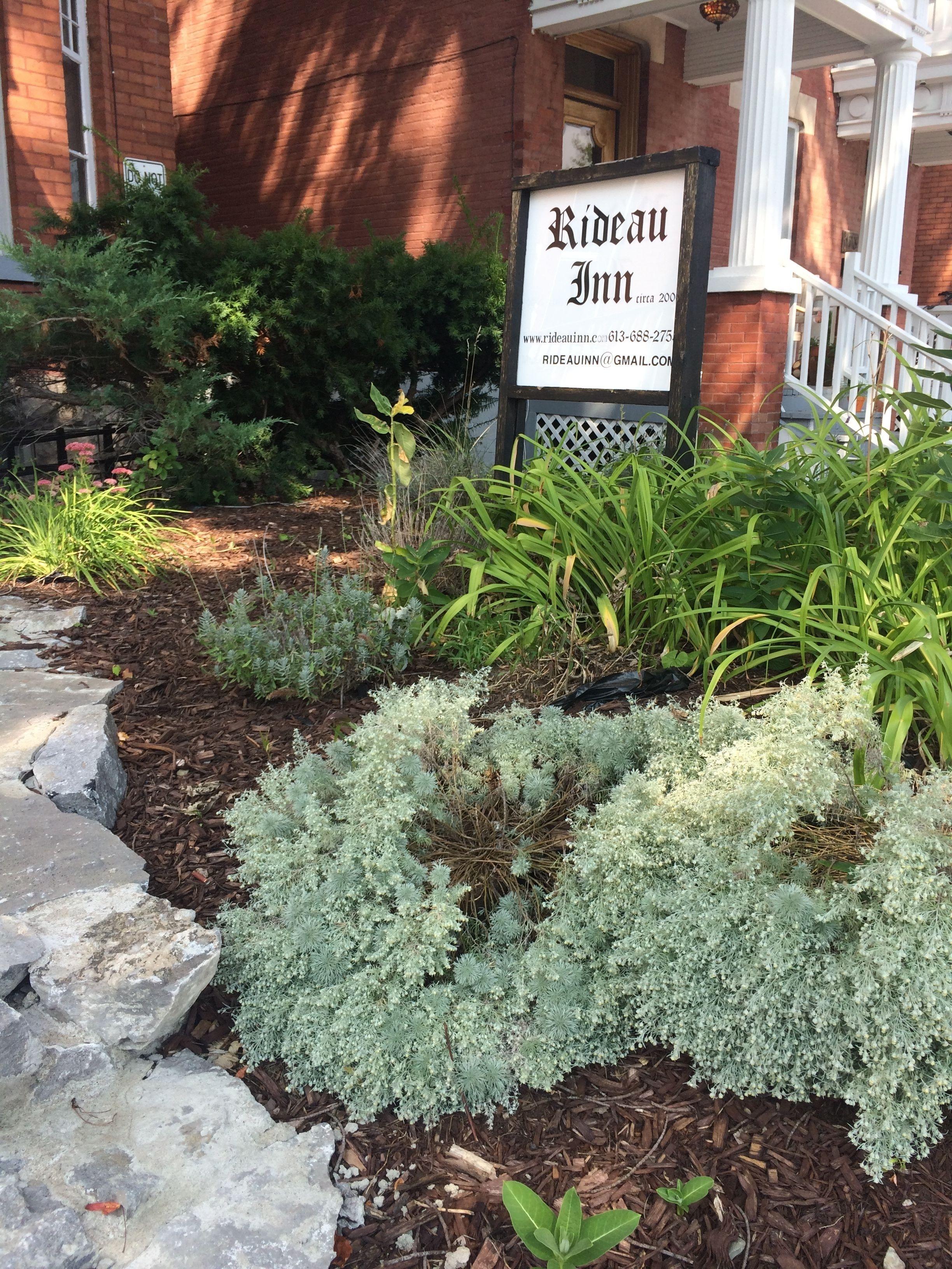 Rideau Bed & Breakfast