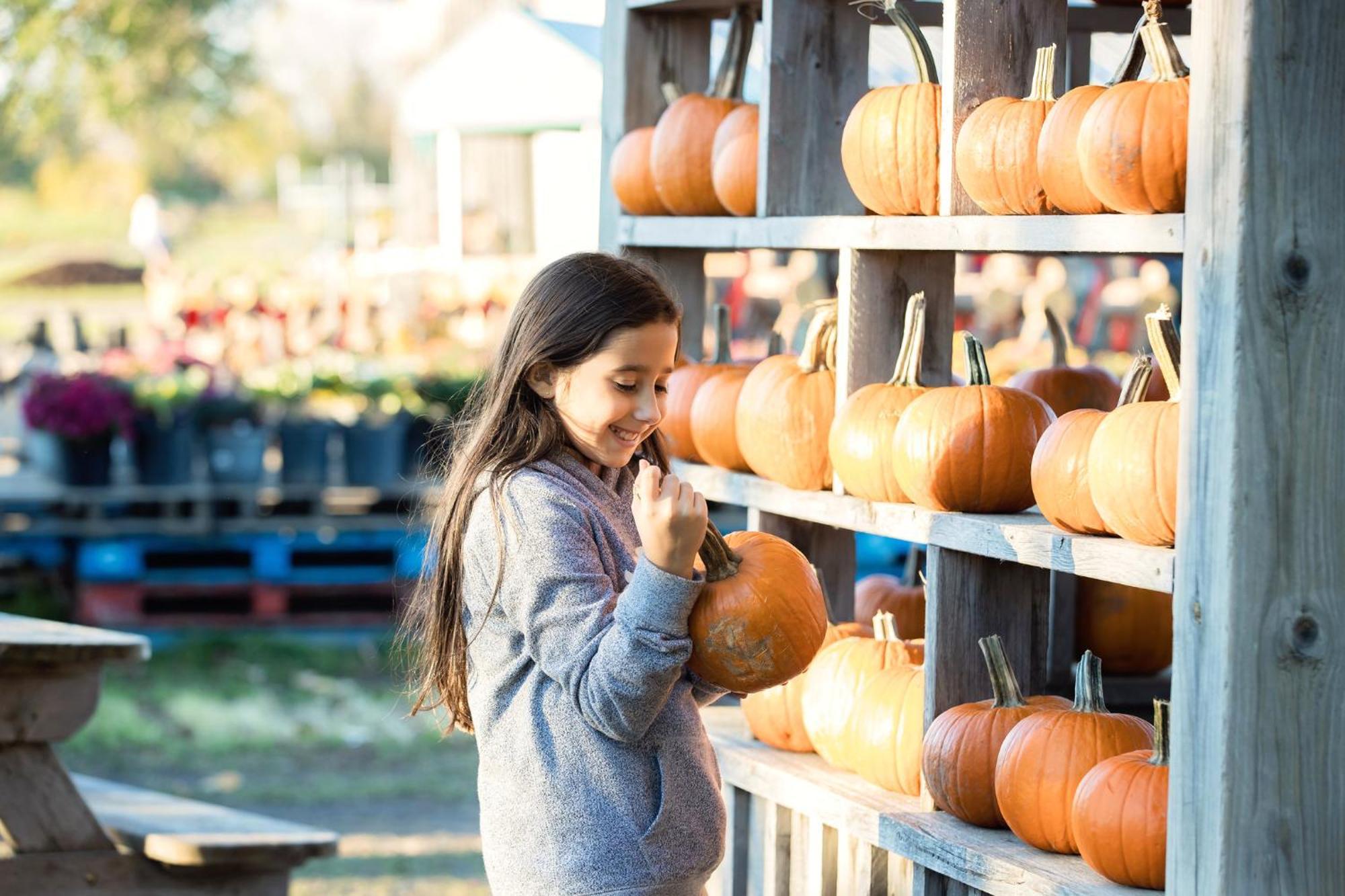 & Kanata By Ihg Ottawa