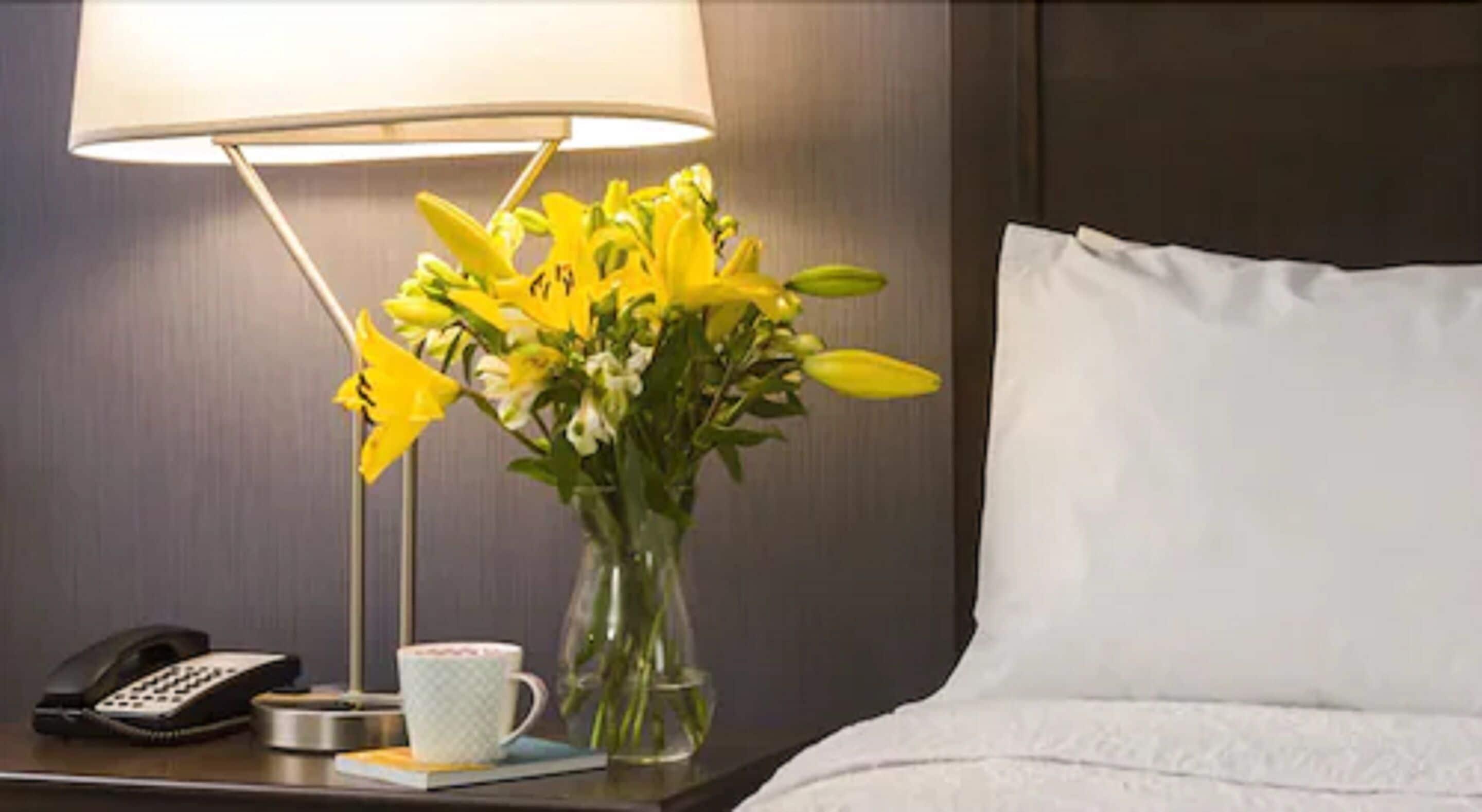 Hotel Hampton By Hilton Airport 3*