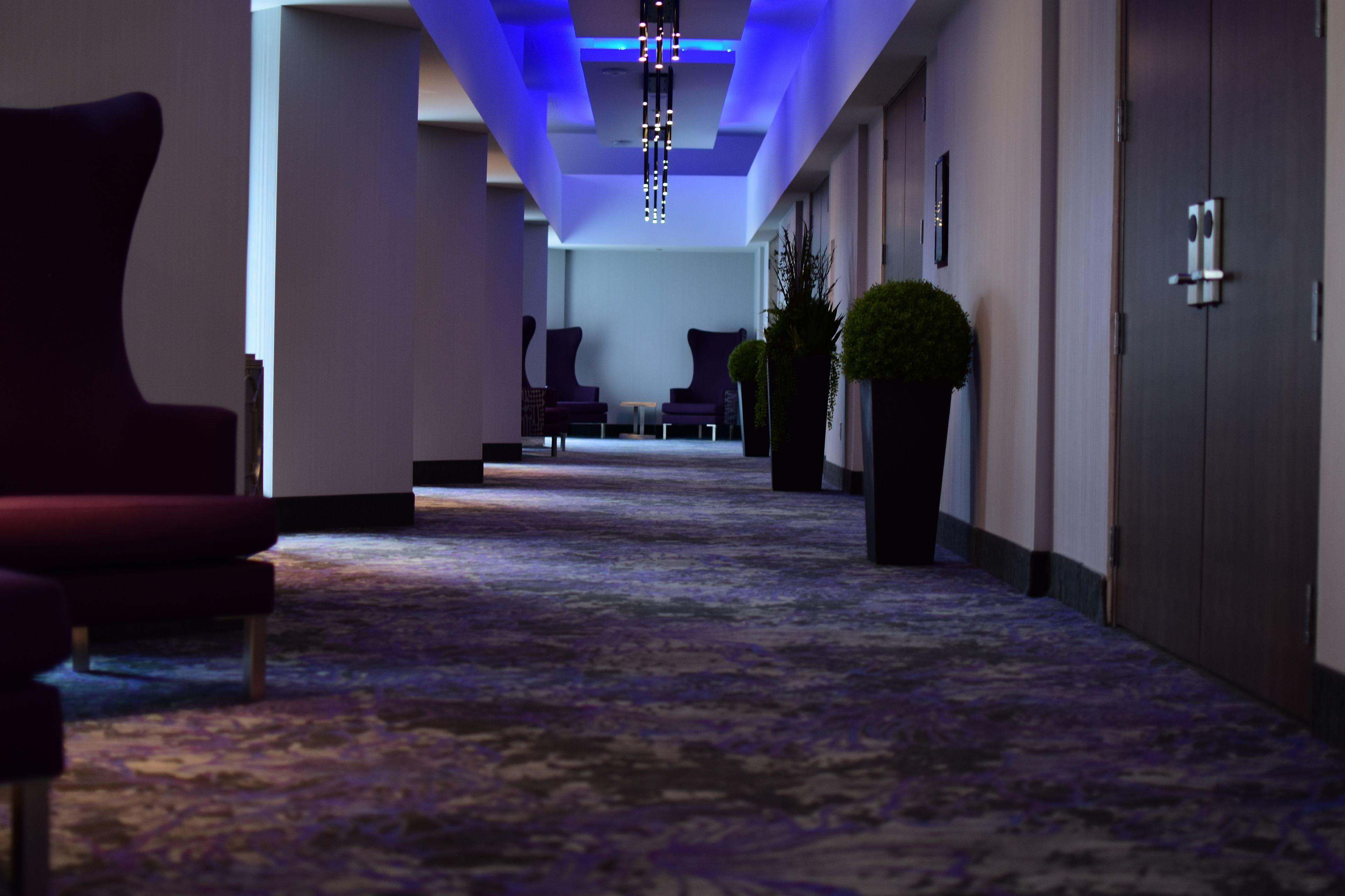Homewood By Hilton Downtown Ottawa