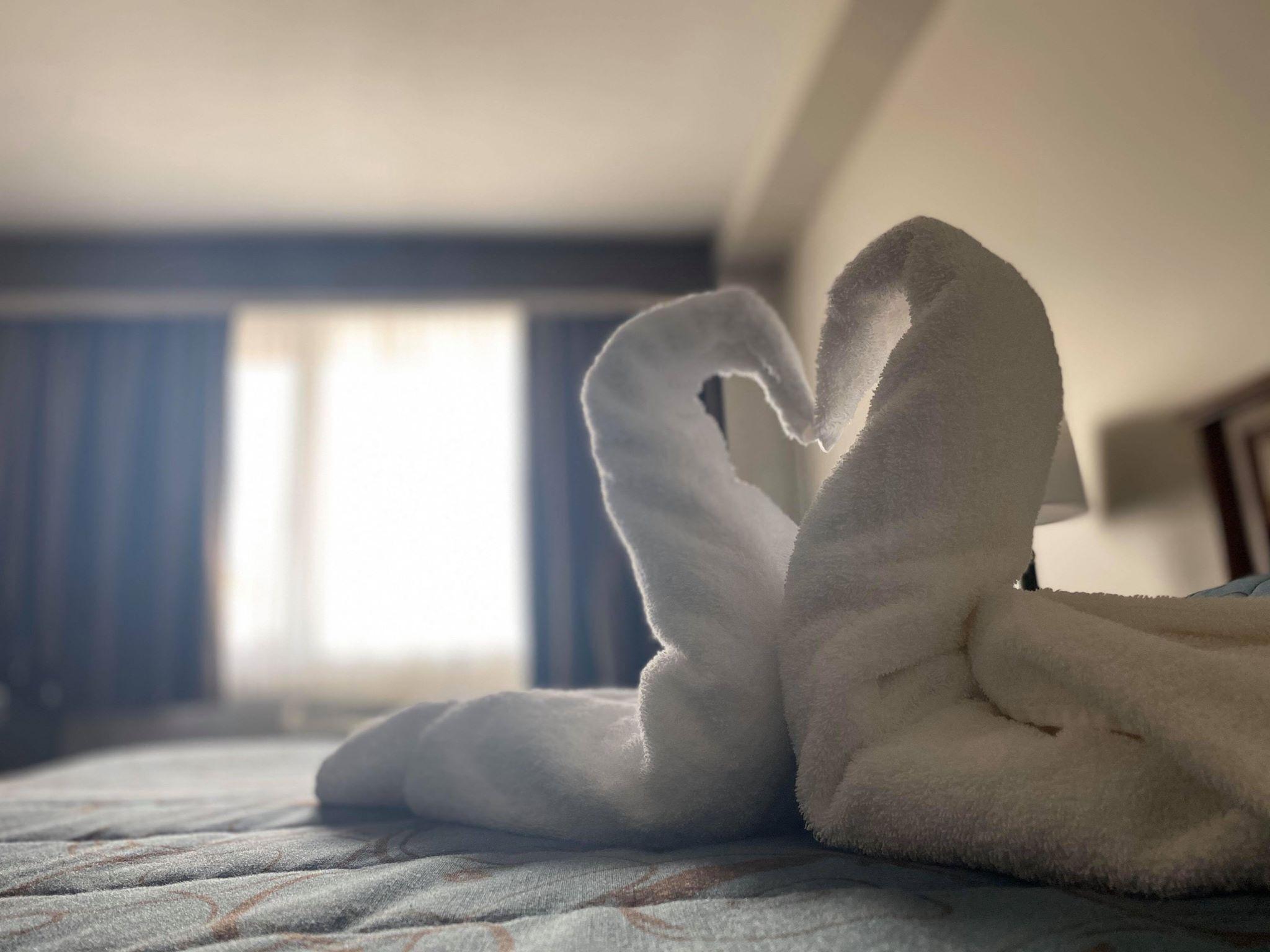 Motel Adam's Airport 3*