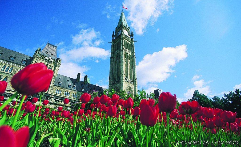 Cartier Place Hotel 3*